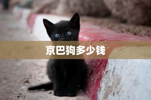 京巴狗多少錢