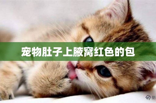寵物肚子上腋窩紅色的包