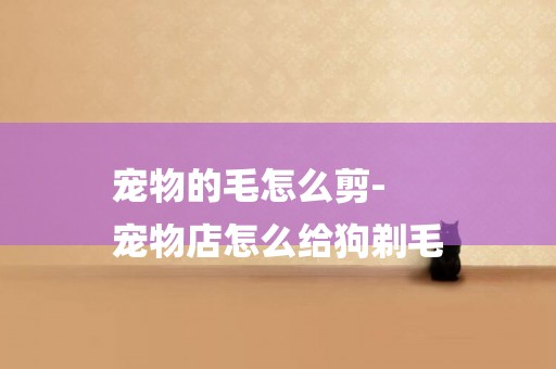 寵物的毛怎么剪-
寵物店怎么給狗剃毛