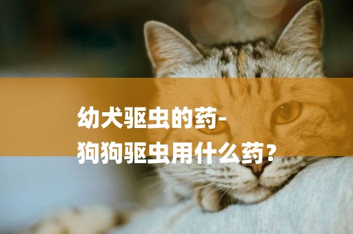 幼犬驅蟲的藥-
狗狗驅蟲用什么藥？
