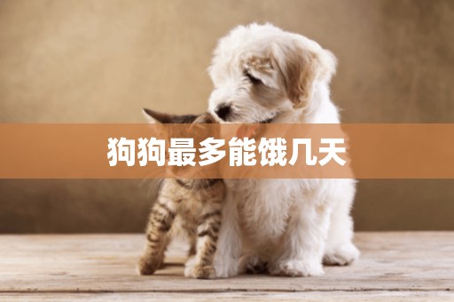 狗狗最多能餓幾天