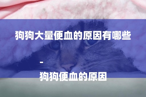 狗狗大量便血的原因有哪些-
狗狗便血的原因