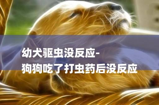 幼犬驅蟲沒反應-
狗狗吃了打蟲藥后沒反應