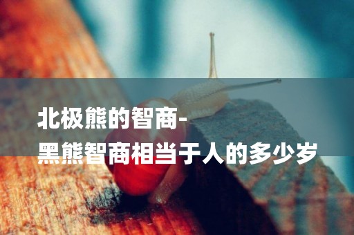 北極熊的智商-
黑熊智商相當于人的多少歲