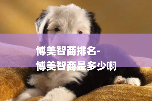 博美智商排名-
博美智商是多少啊