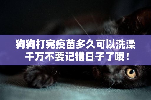 狗狗打完疫苗多久可以洗澡 千萬不要記錯日子了哦！