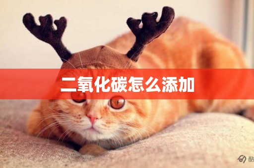 二氧化碳怎么添加