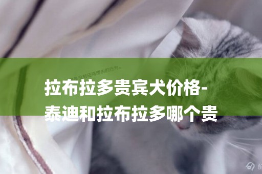 拉布拉多貴賓犬價格-
泰迪和拉布拉多哪個貴