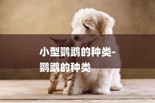 小型鸚鵡的種類-
鸚鵡的種類
