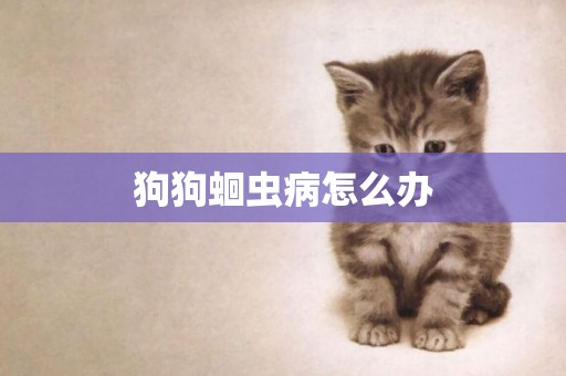 狗狗蛔蟲病怎么辦