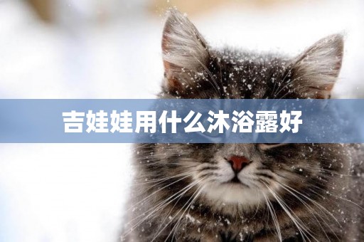 吉娃娃用什么沐浴露好