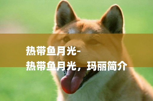 熱帶魚月光-
熱帶魚月光，瑪麗簡介