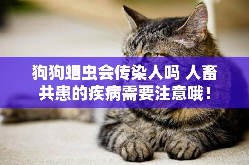 狗狗蛔蟲會傳染人嗎 人畜共患的疾病需要注意哦！