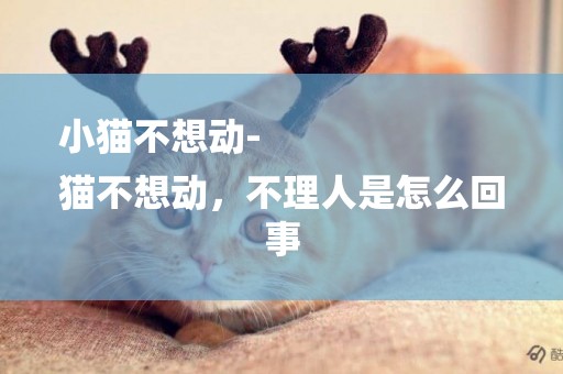 小貓不想動-
貓不想動，不理人是怎么回事