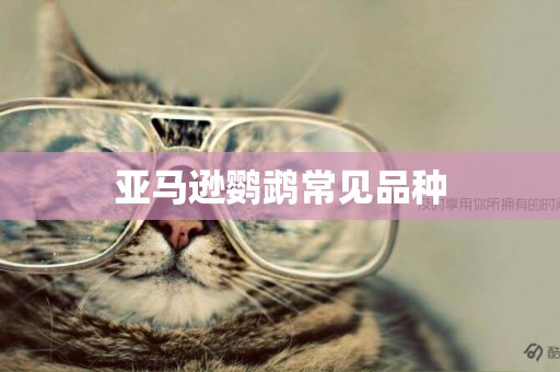 亞馬遜鸚鵡常見品種