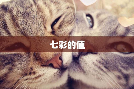 七彩的值