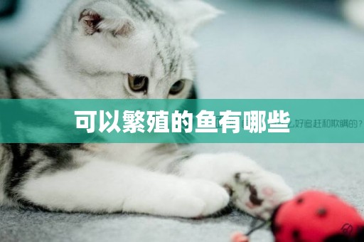 可以繁殖的魚有哪些
