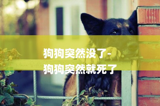 狗狗突然沒了-
狗狗突然就死了