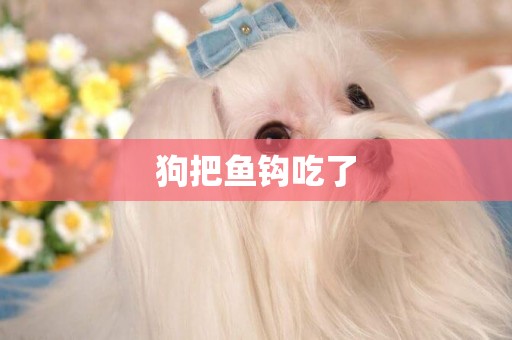狗把魚鉤吃了