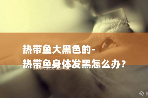 熱帶魚大黑色的-
熱帶魚身體發黑怎么辦？
