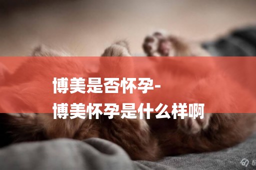 博美是否懷孕-
博美懷孕是什么樣啊