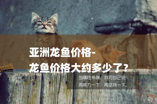 亞洲龍魚價格-
龍魚價格大約多少了？