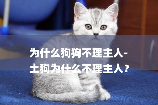 為什么狗狗不理主人-
土狗為什么不理主人？