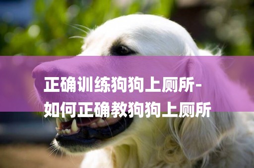 正確訓練狗狗上廁所-
如何正確教狗狗上廁所