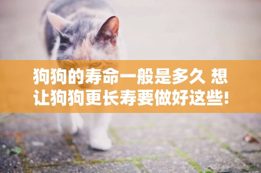 狗狗的壽命一般是多久 想讓狗狗更長壽要做好這些!