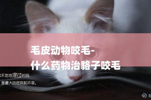 毛皮動物咬毛-
什么藥物治貉子咬毛