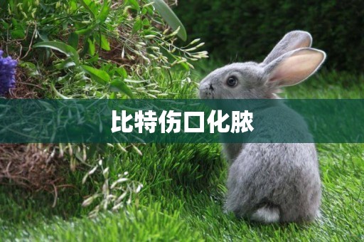 比特傷口化膿