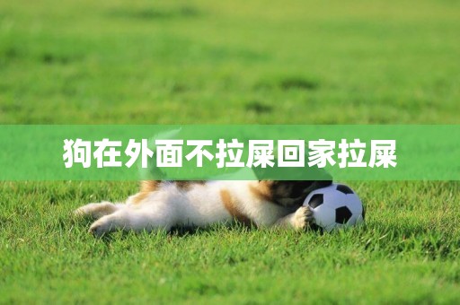 狗在外面不拉屎回家拉屎