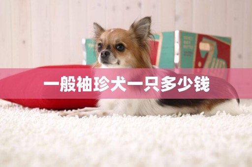 一般袖珍犬一只多少錢