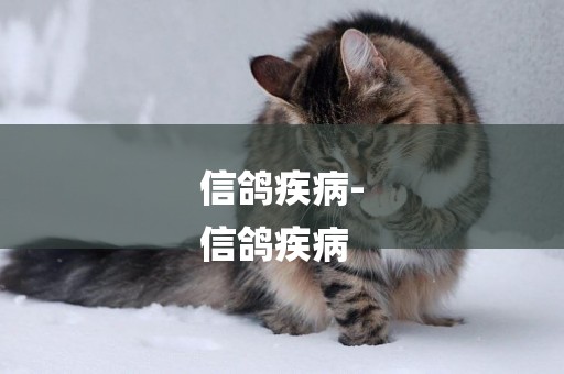 信鴿疾病-
信鴿疾病