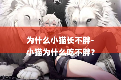 為什么小貓長不胖-
小貓為什么吃不胖？