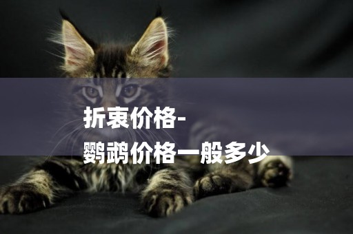 折衷價格-
鸚鵡價格一般多少