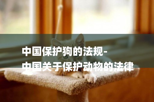 中國保護狗的法規-
中國關于保護動物的法律