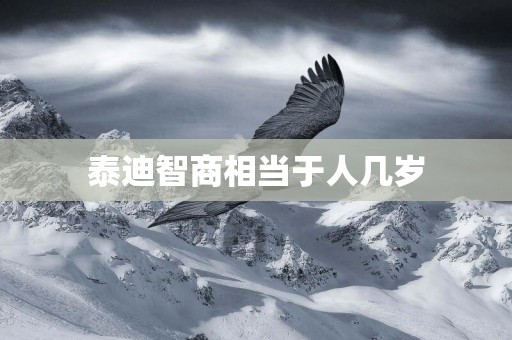 泰迪智商相當于人幾歲