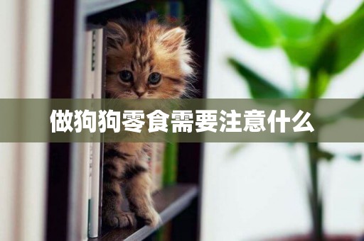 做狗狗零食需要注意什么