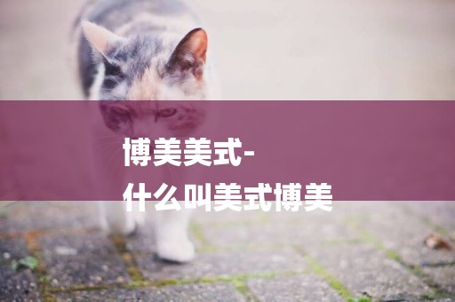 博美美式-
什么叫美式博美