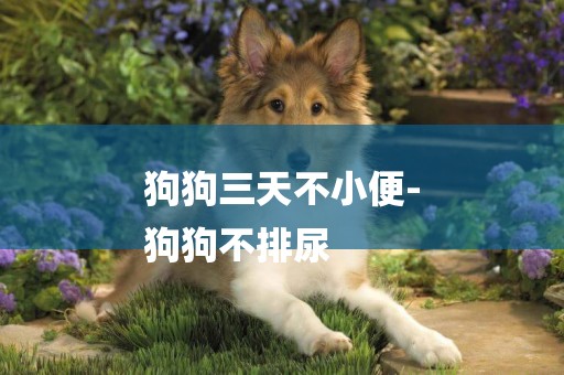 狗狗三天不小便-
狗狗不排尿