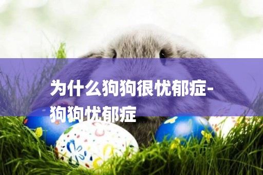 為什么狗狗很憂郁癥-
狗狗憂郁癥