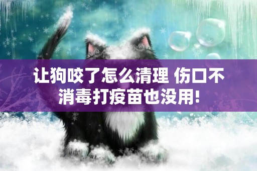 讓狗咬了怎么清理 傷口不消毒打疫苗也沒用!