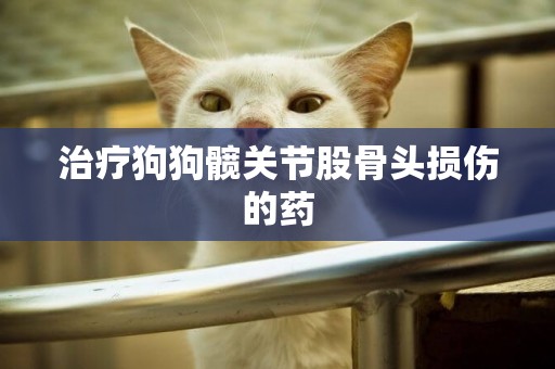 治療狗狗髖關節股骨頭損傷的藥