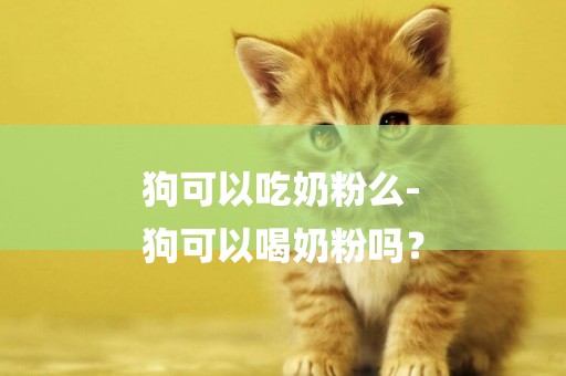 狗可以吃奶粉么-
狗可以喝奶粉嗎？