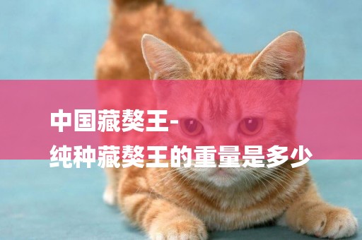 中國藏獒王-
純種藏獒王的重量是多少