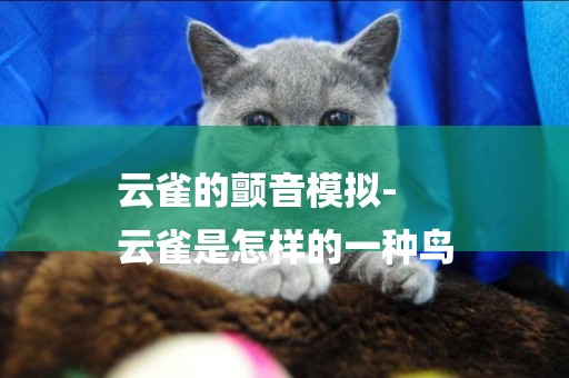 云雀的顫音模擬-
云雀是怎樣的一種鳥