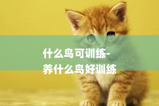 什么鳥可訓練-
養什么鳥好訓練