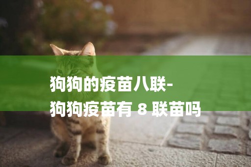 狗狗的疫苗八聯-
狗狗疫苗有 8 聯苗嗎