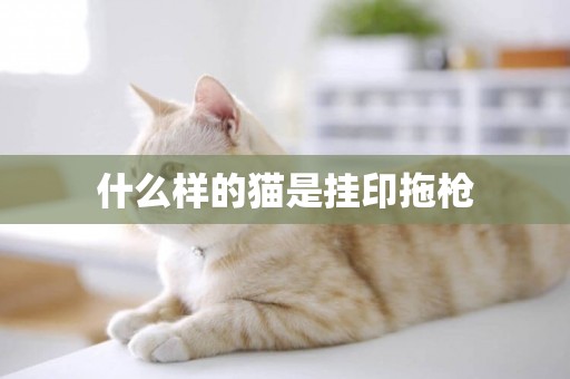 什么樣的貓是掛印拖槍
